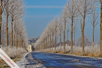 Allee zum Schloss "Schwarzen Raben"