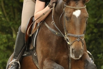 hw_springreiten_ren0026_crop