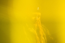250824_REN0289_bea3000_bea1600